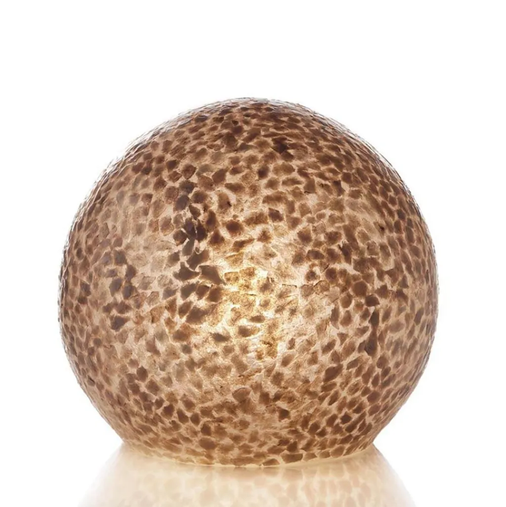 Straluma Beach tafellamp schelpen bol woonkamer> Schelpenlampen|Woonkamerlampen