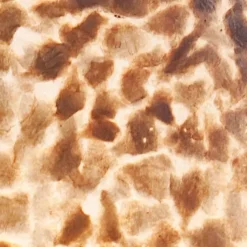 Straluma Beach tafellamp schelpen bol woonkamer><noscript><img width=