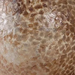 Straluma Beach tafellamp schelpen bol woonkamer><noscript><img width=