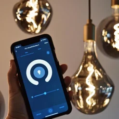 Straluma Calex Smart LED Globe G200 Titanium></noscript> Smart lampen|Calex