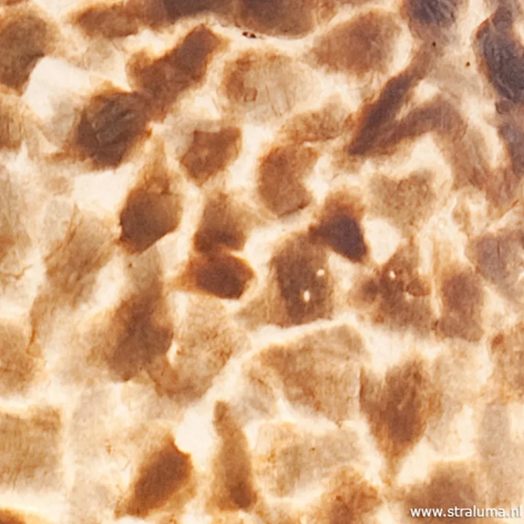 Straluma Grote schelpen hanglamp bruin goud> Schelpenlampen|Slaapkamerlampen