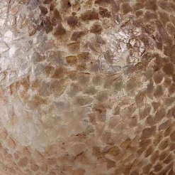 Straluma Ibiza vloerlamp schelpen zuil woonkamer><noscript><img width=