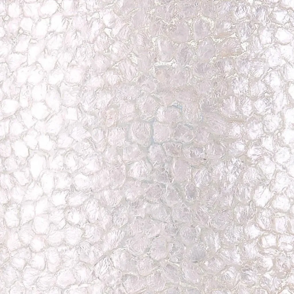 Straluma 2-Lichts schelpen wandlamp met snoer> Wandlampen|Schelpenlampen