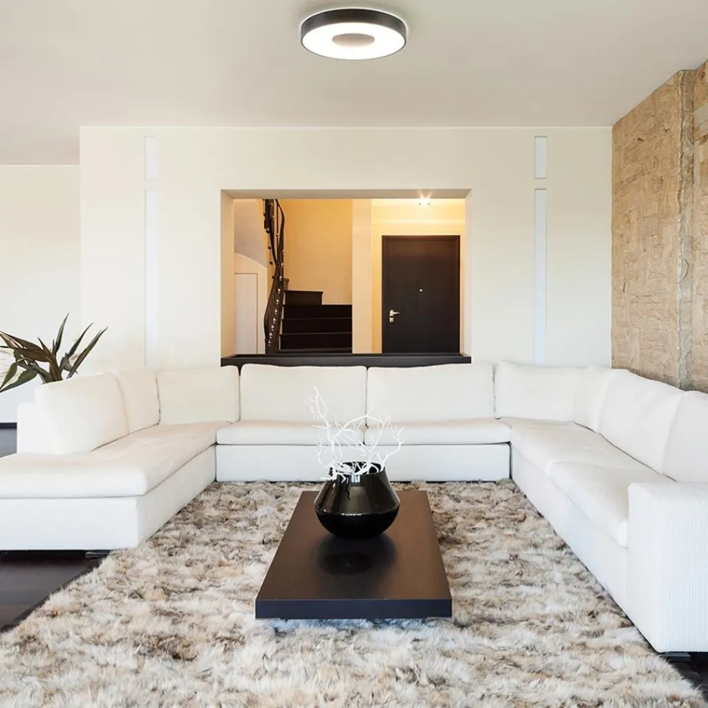 Straluma Plafondlamp Coin rond 50cm zwart CCT> Plafondlampen|Plafonnières