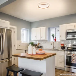 Straluma Plafondlamp Led Cirkel rvs 40cm></noscript> Plafondlampen|Plafonnières