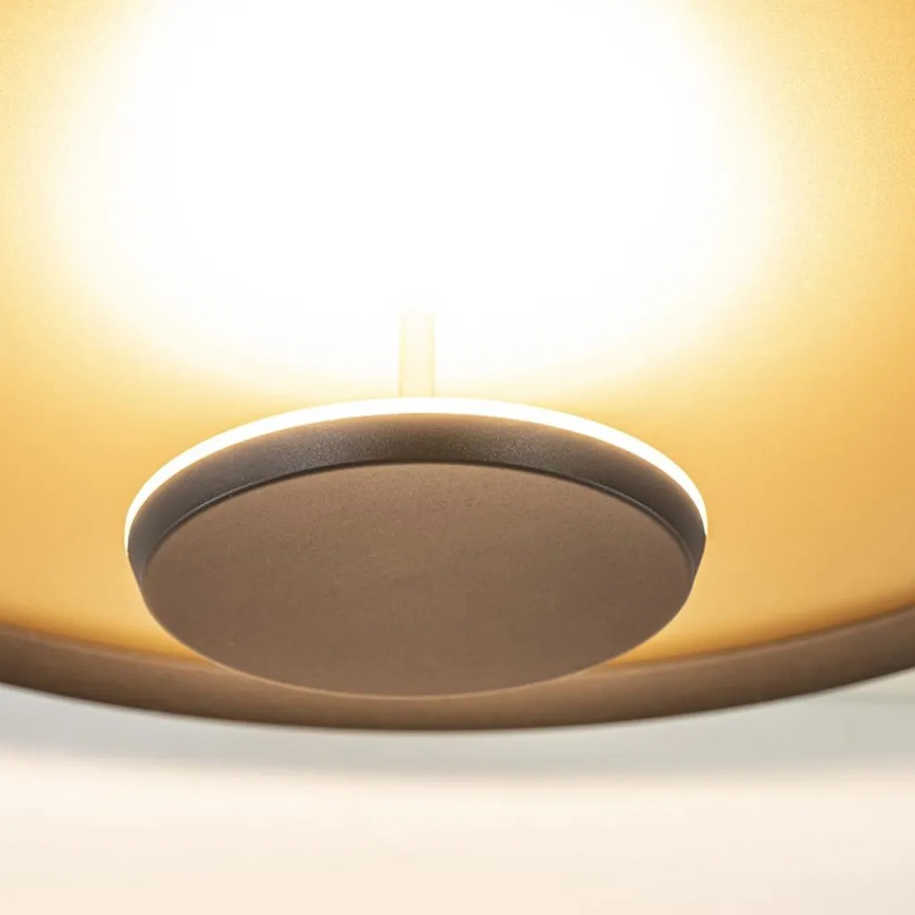 Straluma Plafondlamp Oro 45cm zwart/matgoud> Plafondlampen|Plafonnières
