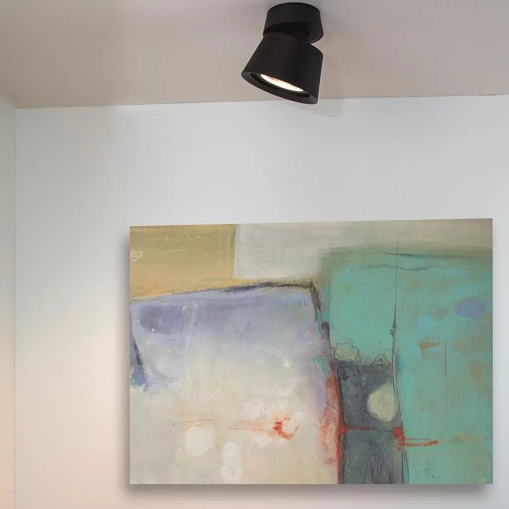 Straluma Plafondspot 1l zwart gu10-111> Plafondlampen|Opbouwspots