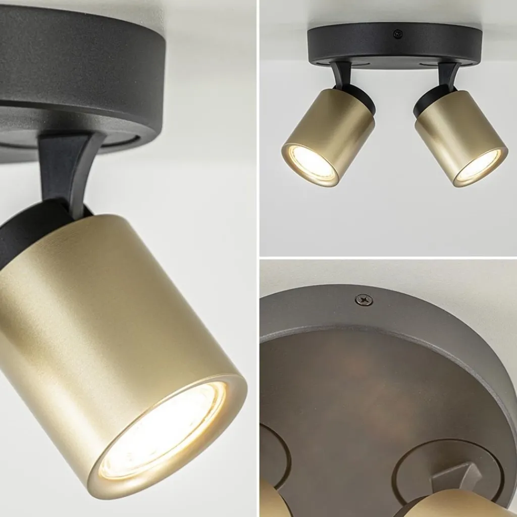 Straluma Plafondspot Razza 2L rond zwart/goud> Opbouwspots|Woonkamerlampen