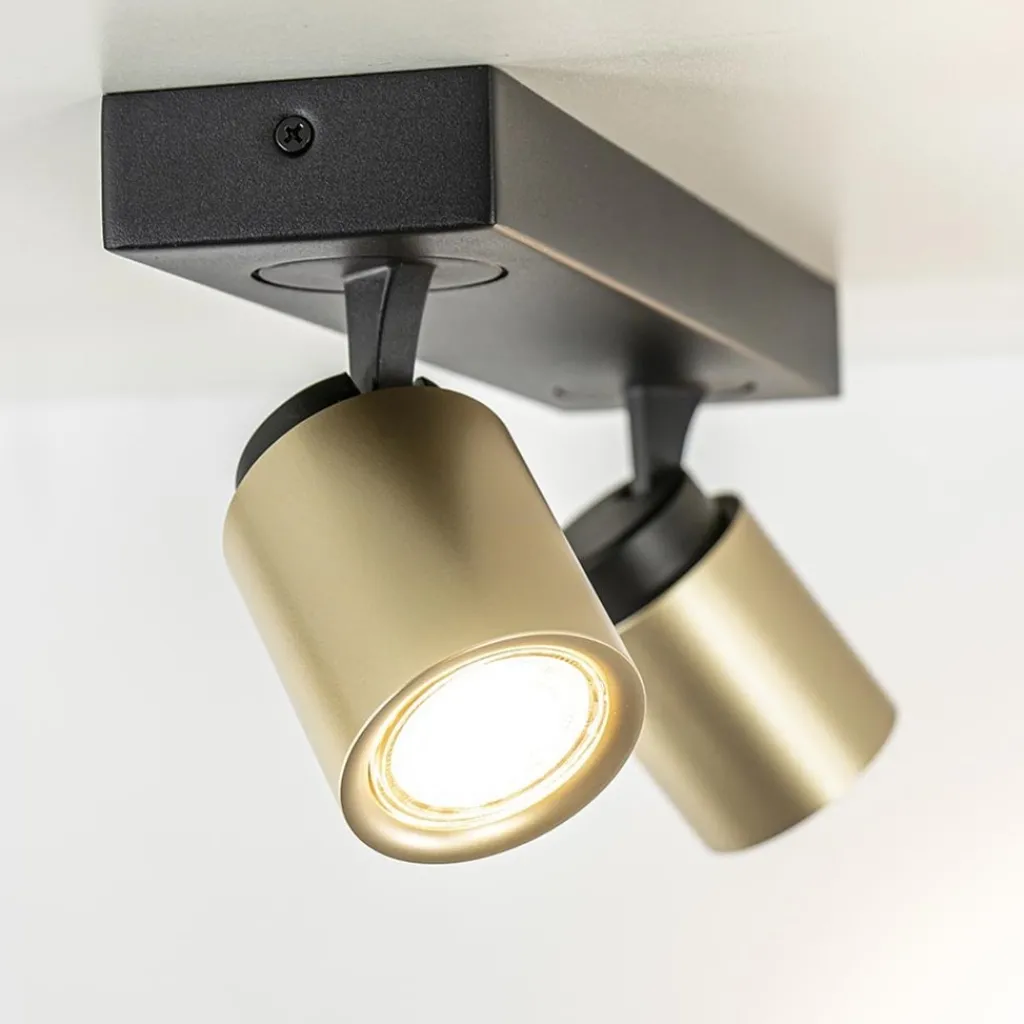 Straluma Plafondspot Razza 2L zwart/goud> Plafondlampen|Opbouwspots