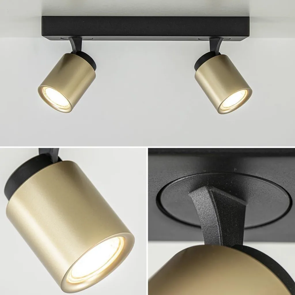 Straluma Plafondspot Razza 2L zwart/goud> Plafondlampen|Opbouwspots