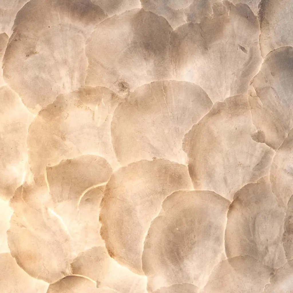 Straluma Romantische schelpen wandlamp ivoor> Schelpenlampen|Woonkamerlampen