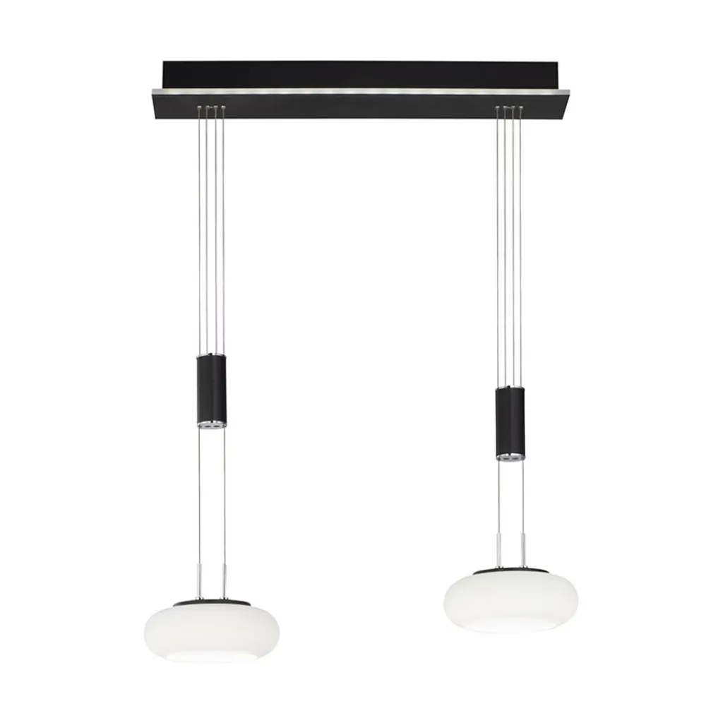 Straluma Smart hanglamp 2-lichts mat zwart met opaal glas dimbaar> Hanglampen|Smart lampen