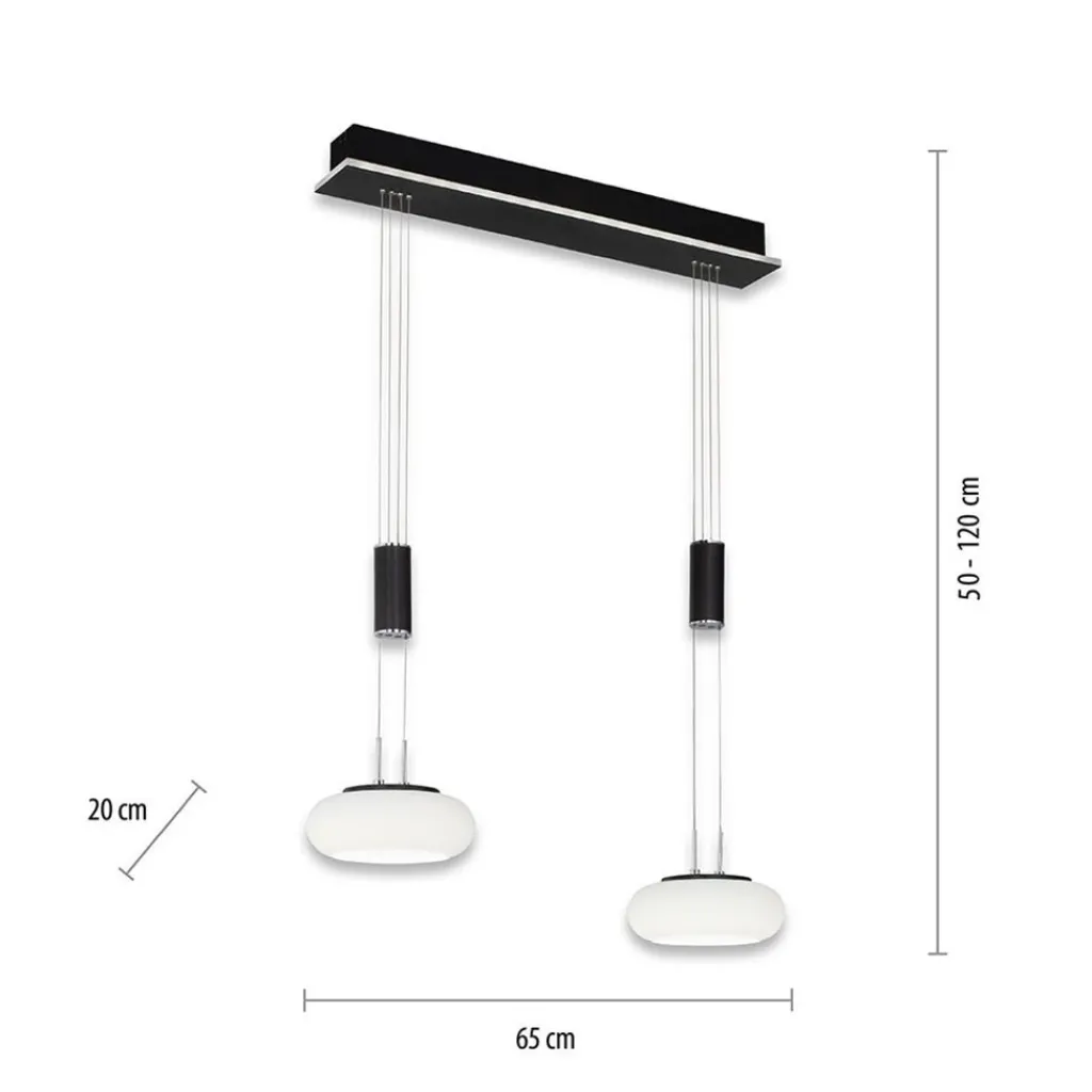 Straluma Smart hanglamp 2-lichts mat zwart met opaal glas dimbaar> Hanglampen|Smart lampen