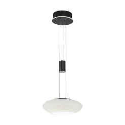 Straluma Smart hanglamp mat zwart met opaal glazen kap> Hanglampen|Smart lampen
