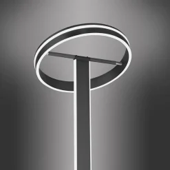 Straluma Smart vloerlamp verstelbare ring antraciet> Vloerlampen|Smart lampen