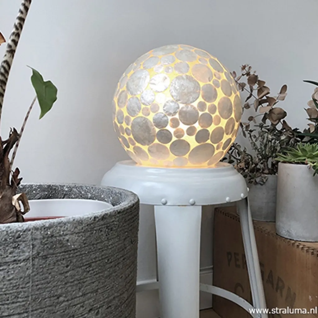 Straluma Tafellamp schelpen bol wit> Schelpenlampen|Woonkamerlampen