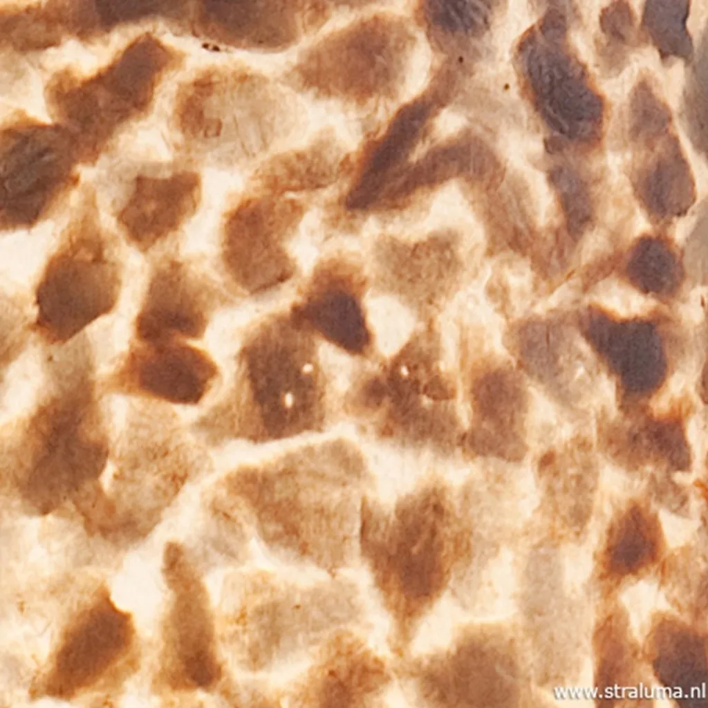 Straluma Vloerlamp cilinder capiz schelpen 200 cm> Vloerlampen|Schelpenlampen