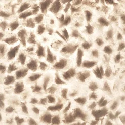 Straluma Zwarte driepoot tafellamp met witte schelpenkap><noscript><img width=