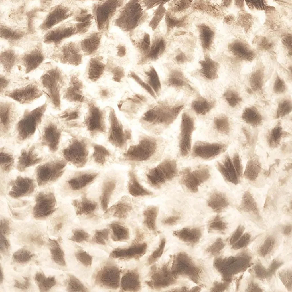 Straluma Zwarte driepoot tafellamp met witte schelpenkap> Tafellampen|Schelpenlampen